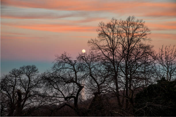 istock A very colorful sunset at Pelion mountain 903393348