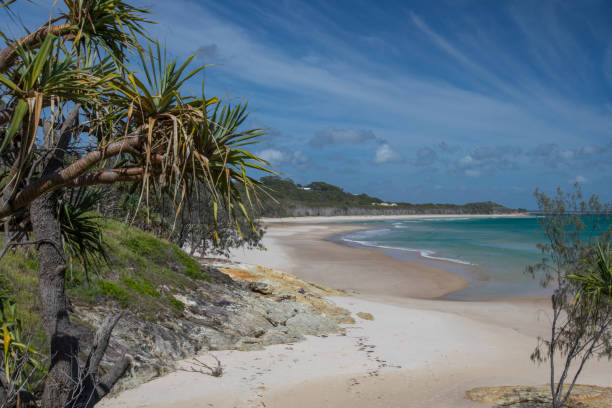 istock White sandy beach, Point Lookout Stradbroke Island 903394484