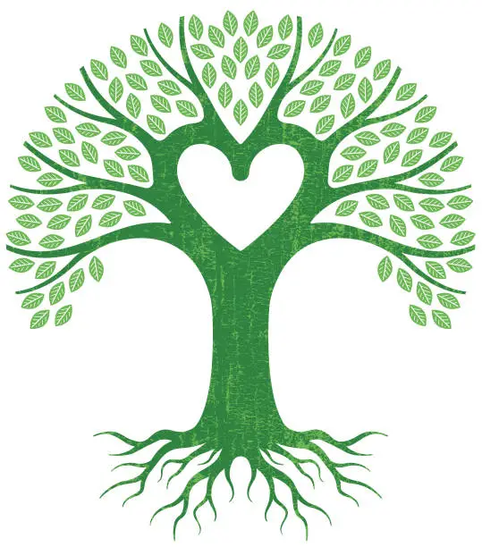 Vector illustration of Big green heart tree vector