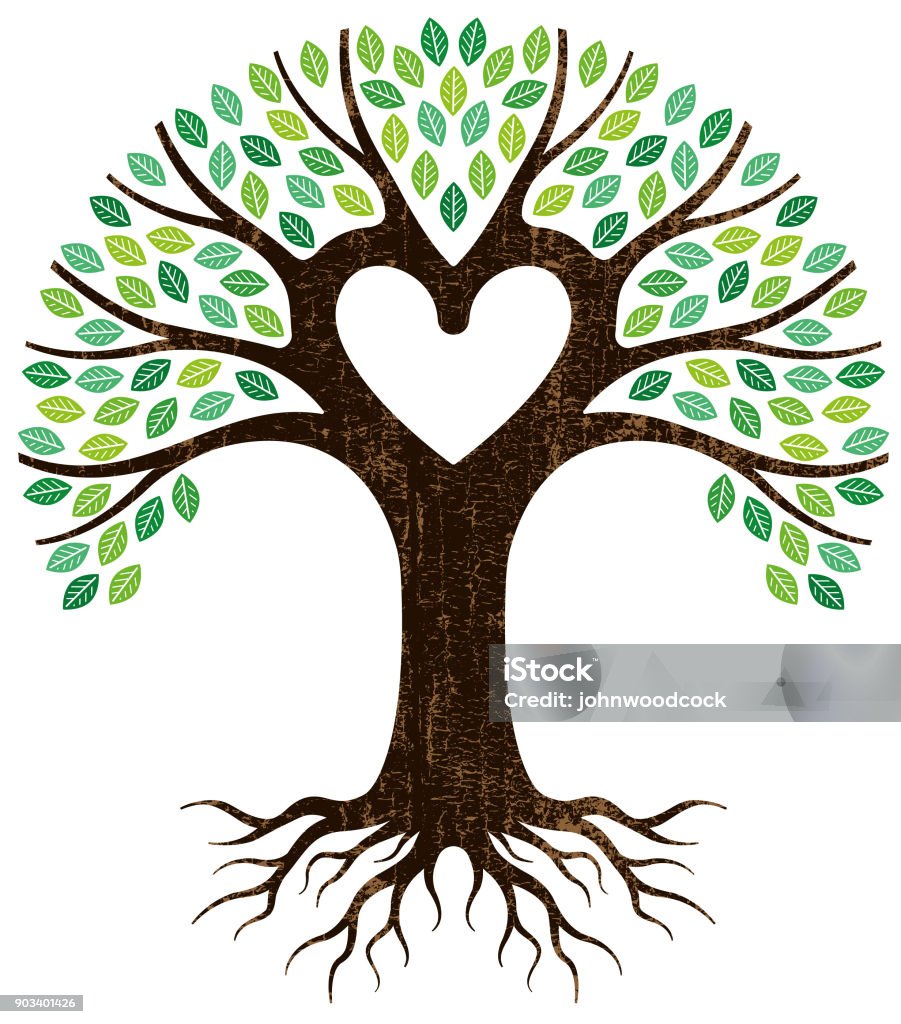 Peeling paint heart tree vector A graphic tree and roots, the central branches forming a heart shape. Tree stock vector