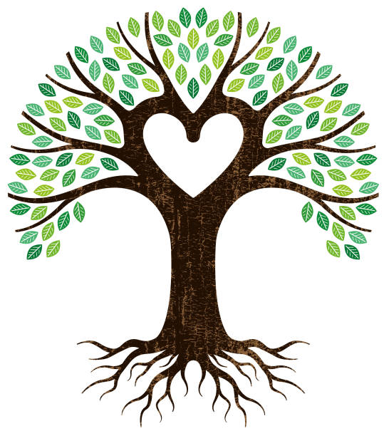 Peeling paint heart tree vector A graphic tree and roots, the central branches forming a heart shape. origins stock illustrations