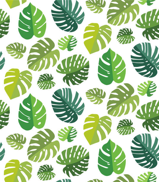 illustrations, cliparts, dessins animés et icônes de palm leaf fond transparent - palm leaf frond leaf backgrounds