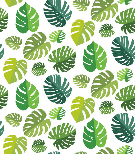Palm Leaf Seamless Background Monstera Leaf Vector Pattern jungle leaf pattern stock illustrations
