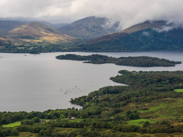 ver os no lago lomond da colina cônica - loch - fotografias e filmes do acervo