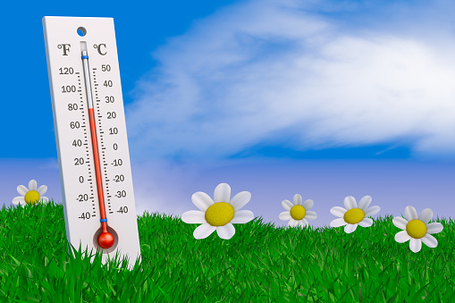 Thermometer and flowers on the grass against the sky. 3d rendering.