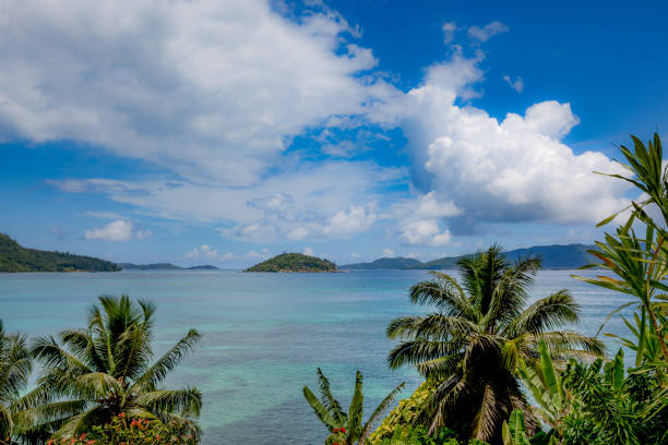 istock tropical scenery on praslin island, seychelles islands 903424930