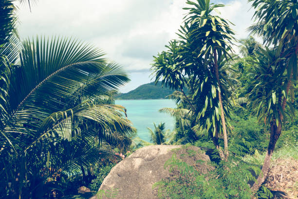 Empty natural landscape with the black monolith of the Giant Union Rock. Landmark of La Digue island, Seychelles