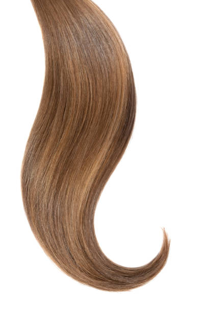 istock Curl of natural hair on a white background 903427978