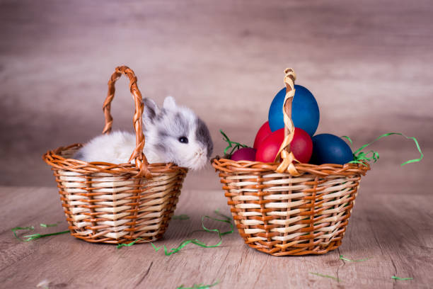 istock Bunny in a basket on a wooden retro looking background. Happy Easter 903431378
