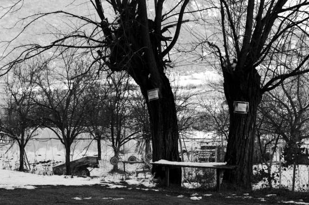 istock bus station in the countryside 903434732