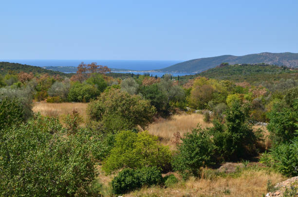 istock Panoramic landscape of hills and sea 903438374