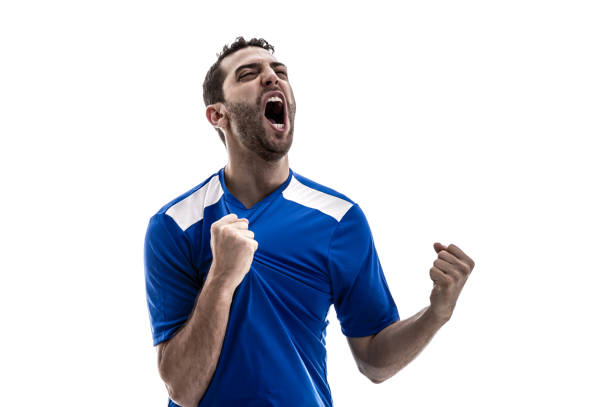 istock Soccer fan celebrating 903442472