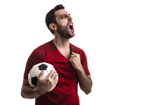 Soccer fan celebrating Soccer fan celebrating benelux stock pictures, royalty-free photos & images