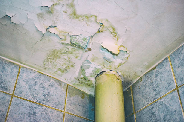 istock Ceiling in need of repair 903443188