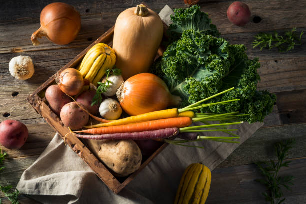 Raw Organic Winter Farmers Market Box Raw Organic Winter Farmers Market Box with Potatoes Garlic Onion Squash and Kale vegetable stock pictures, royalty-free photos & images