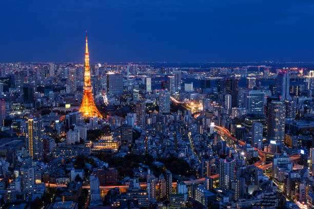 istock Tokyo city view with Tokyo Tower 903446674