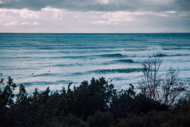 surfen in der toskana, italien - surfing surf wave extreme sports stock-fotos und bilder