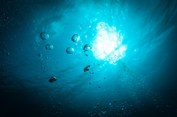 istock Sunbeam - Bonaire, Caribbean Sea 903461114