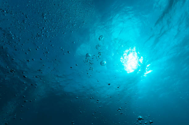 istock Sunbeam - Bonaire, Caribbean Sea 903461122