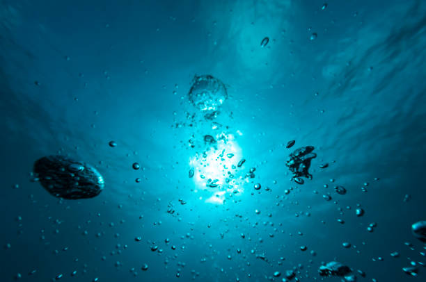 istock Sunbeam - Bonaire, Caribbean Sea 903461140