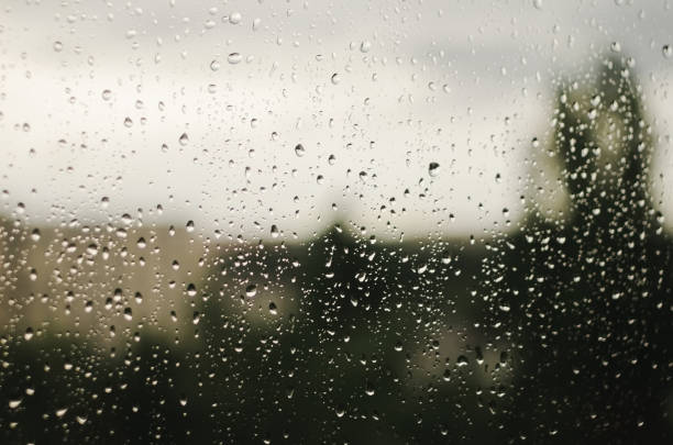 istock Raindrops on window with blurry trees as background. Rainy season 903468698