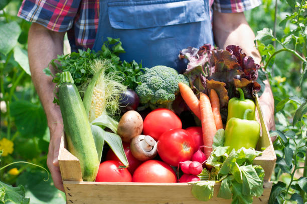 istock Farmer carrying full box of organic vegetable 903476022