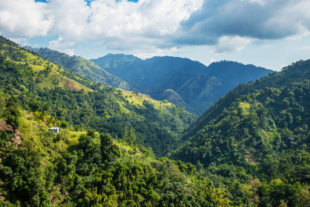 istock Blue mountains of Jamaica where coffee is grown 903476232