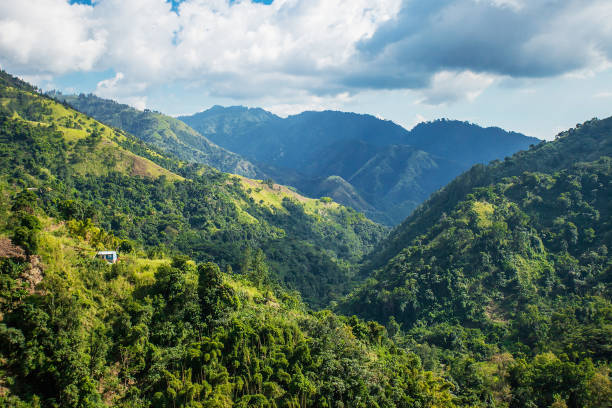 Blue mountains of Jamaica where coffee is grown stock photo