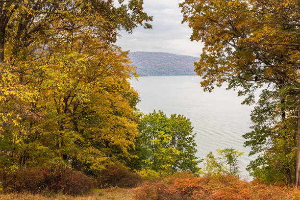 istock Landscape with Trees in Autumn Colors (Foliage), Hudson River, Eagle sitting on a Tree Branch and Cloudy Sky, Hudson Valley, New York. 903476428
