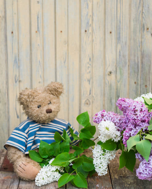 istock Lilac flowers. Lilac Bouquet. 903479758