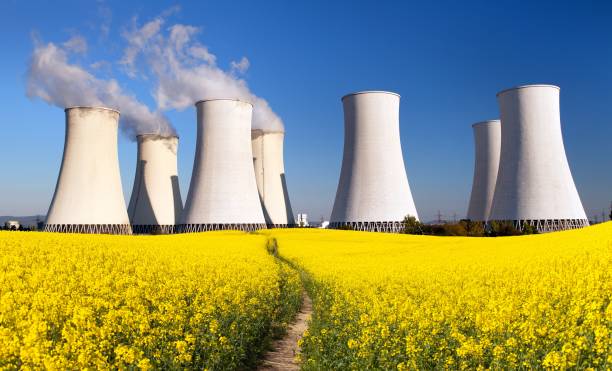 centrale nucleare, torre di raffreddamento, campo di colza - nuclear energy foto e immagini stock