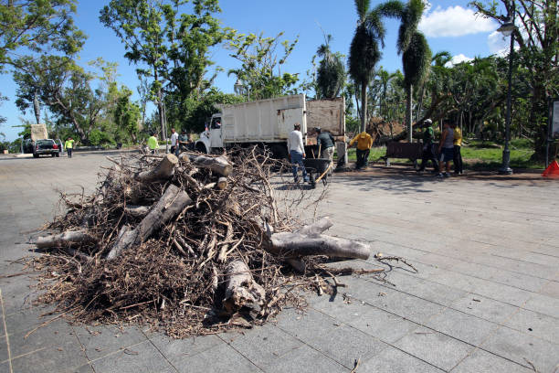 San Juan, Puerto Rico - Dec. 13, 2017:  A work crew clears brush created by Hurricane Maria from a city park more than three months after the storm struck.  Essential services remain at a fraction of their pre-storm capacities throughout the island.