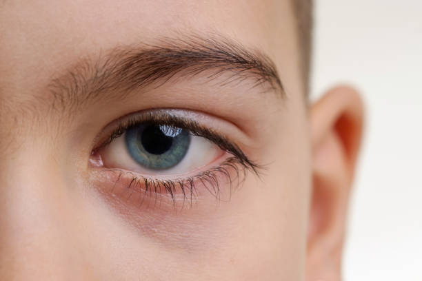 istock Close up view of a green boy's eye looking at camera 903483476