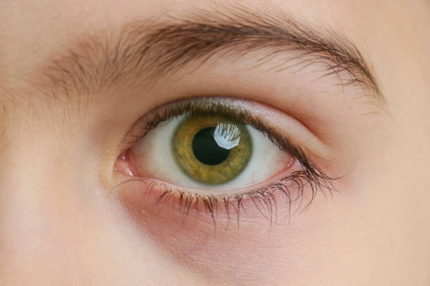 istock Close up view of a green boy's eye looking at camera 903483708