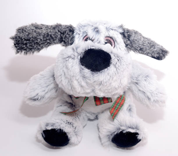 istock dog doll isolated on white 903486650