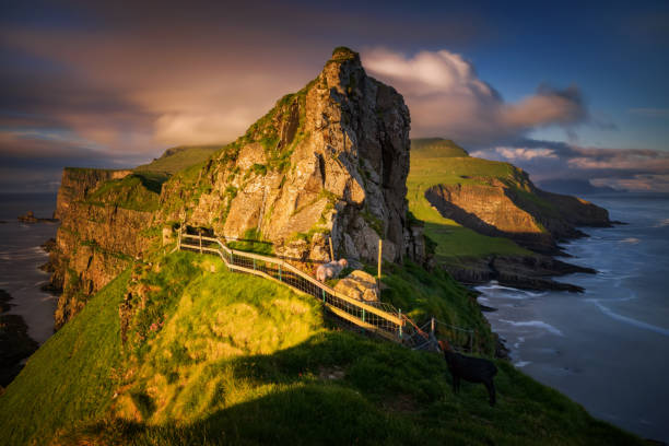 Mykines path Tourist path on Mykines ridge in sunset, Faroe Islands mykines faroe islands photos stock pictures, royalty-free photos & images