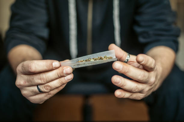 istock Preparing and rolling marijuana cannabis joint. Drugs narcotic concept 903494670