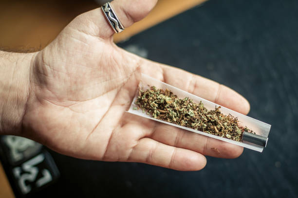 istock Preparing and rolling marijuana cannabis joint. Drugs narcotic concept 903495710