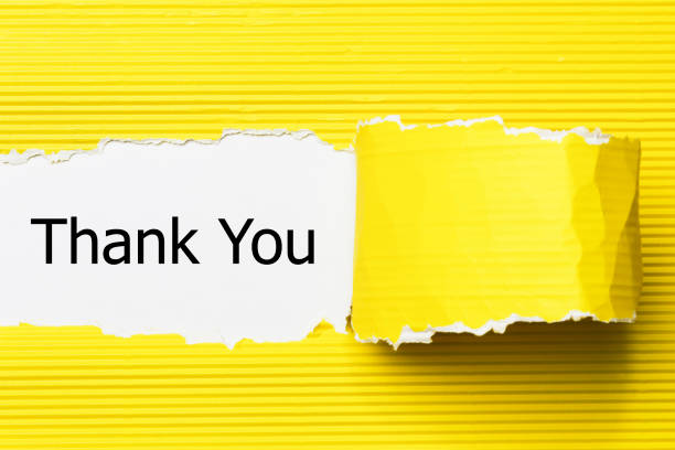 istock thank you word under torn paper 903499464