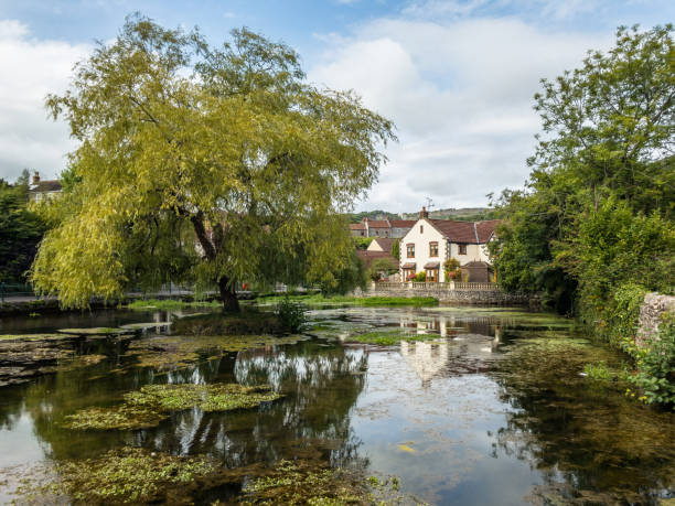 istock View across Cheddar Yeo in Cheddar,  Somerset, England 903506684