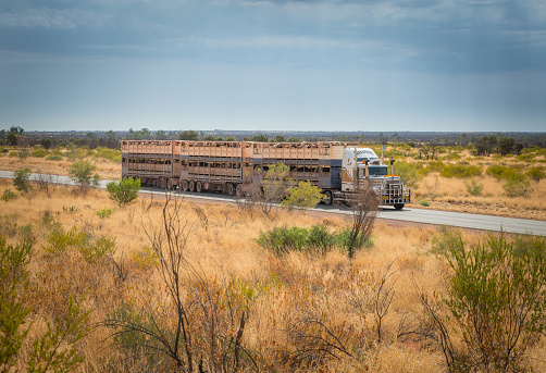 Alice Springs, AUSTRALIA - Sep 29, 2017: 3 trailer Australian road train driving along Stuart Highway near Alice Springs in Northern Territory, Australia