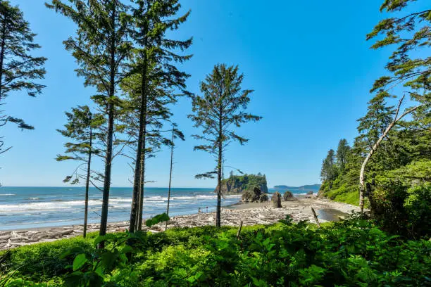 Popular Beach on the Pacific Coast of Washington State.