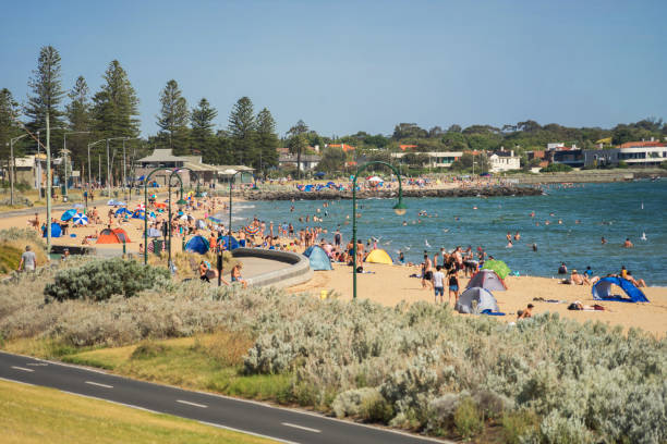 elwood strand, melbourne - tree large group of people sand sunbathing stock-fotos und bilder