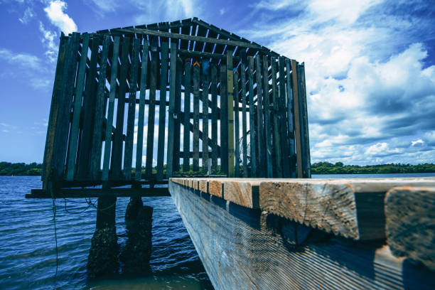 istock Maroochy River Boat House during the day. 903517382