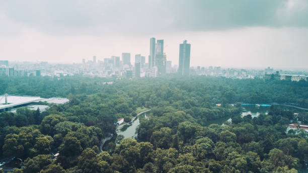 A view of Mexico City's skyline rising above the green expanse of Chapultepec Park, with a lake in the foreground.
