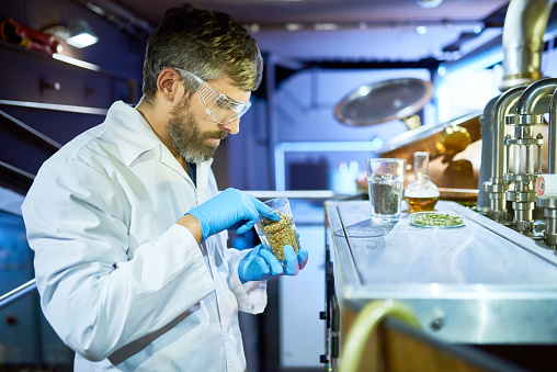 Profile view of concentrated brewer wearing protective goggles and white coat holding glass with malt grains in hands while making preparations for conducting experiment