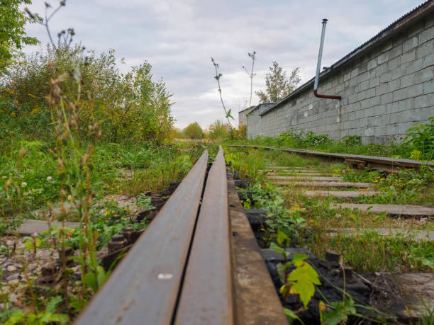 istock Old grass-covered and bushes railway tracks in the summer. 903540602