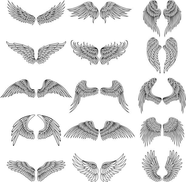 tattoo design bilder von verschiedenen stilisierten flügeln. vektor-illustrationen für s-design - tierflügel stock-grafiken, -clipart, -cartoons und -symbole