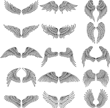 Tattoo Design Pictures Of Different Stylized Wings Vector Illustrations For  S Design Stock Illustration - Download Image Now - iStock