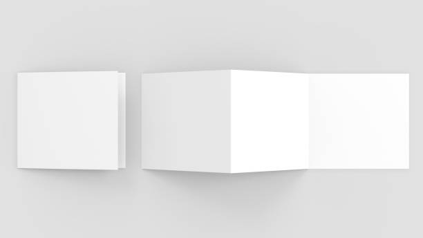 istock Three fold - trifold square brochure mock up isolated on soft gray background. 3d illustrating 903545032